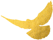 重磅升級(jí)！中為檢驗(yàn)完成CNAS擴(kuò)項(xiàng)(圖2)